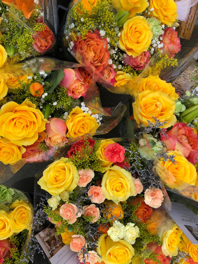 Here Comes the Frederick Flower Fairy!