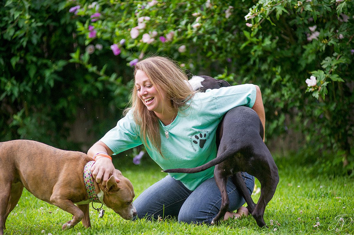 dog rescue, albany pet portrait photographer