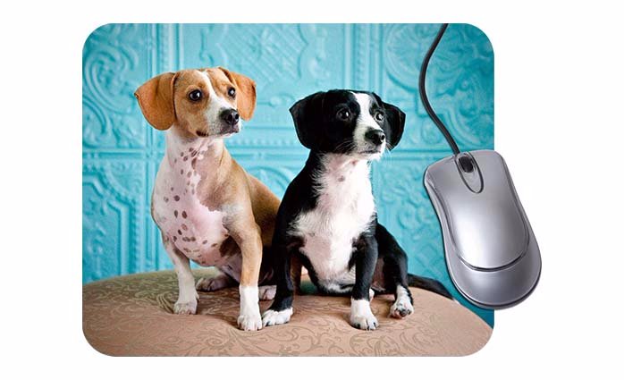 Personalized Mouse Pad