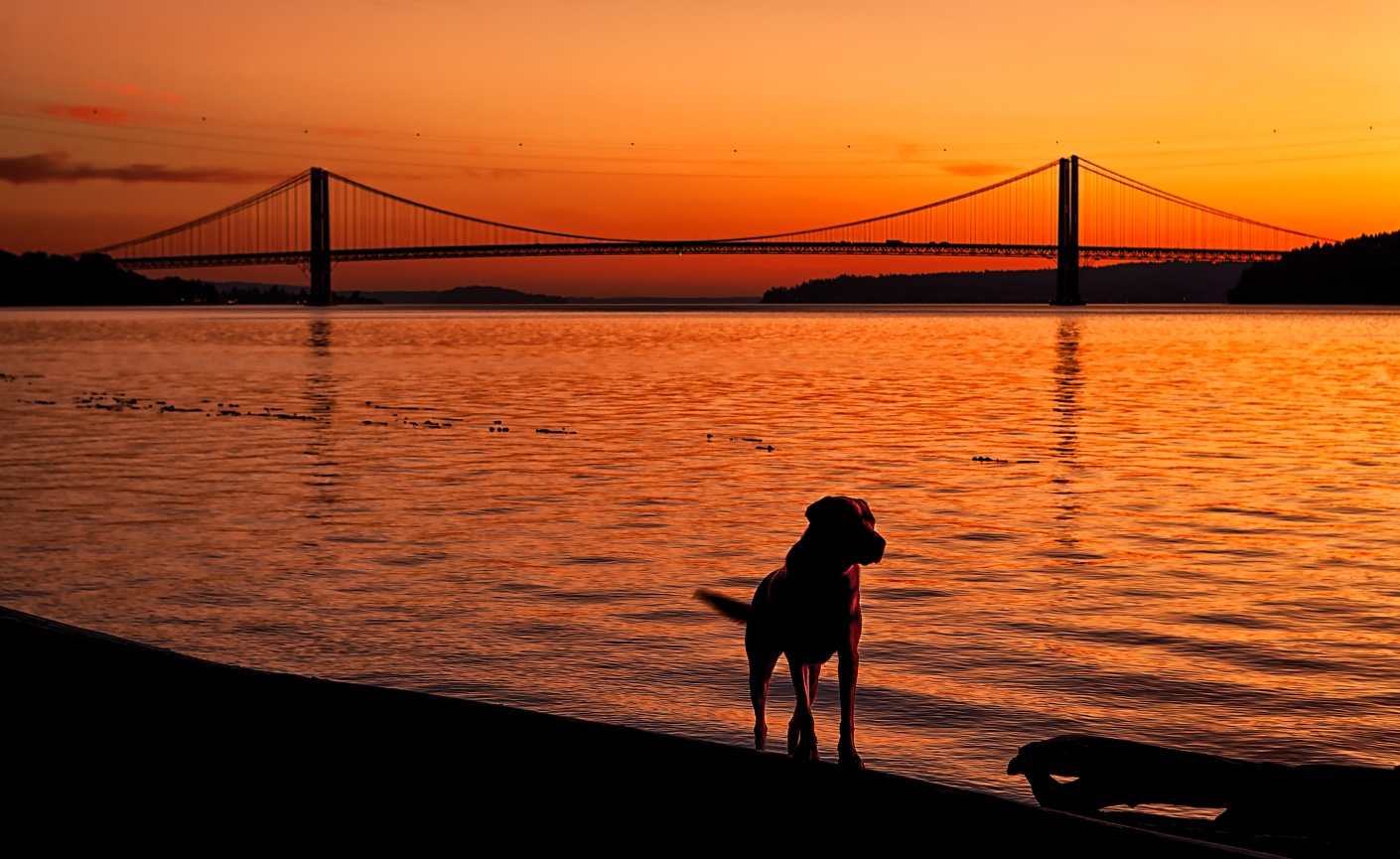 Local Resident of Salmon Beach - 111017-250