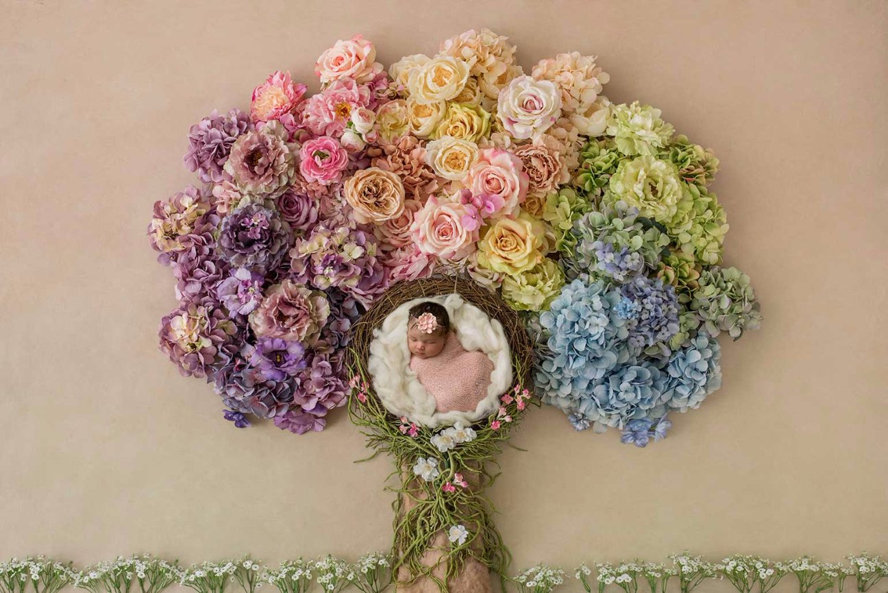 The Grove at City Market