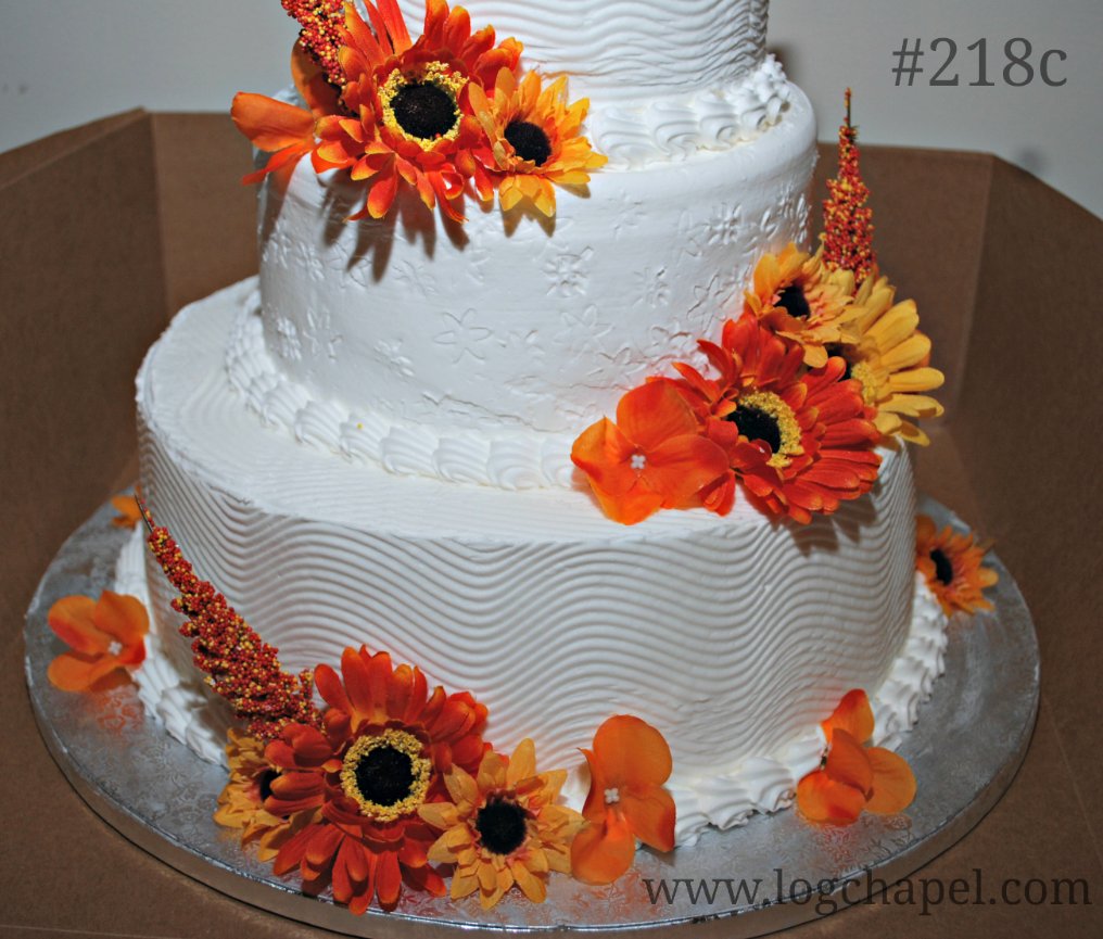 My Image 12