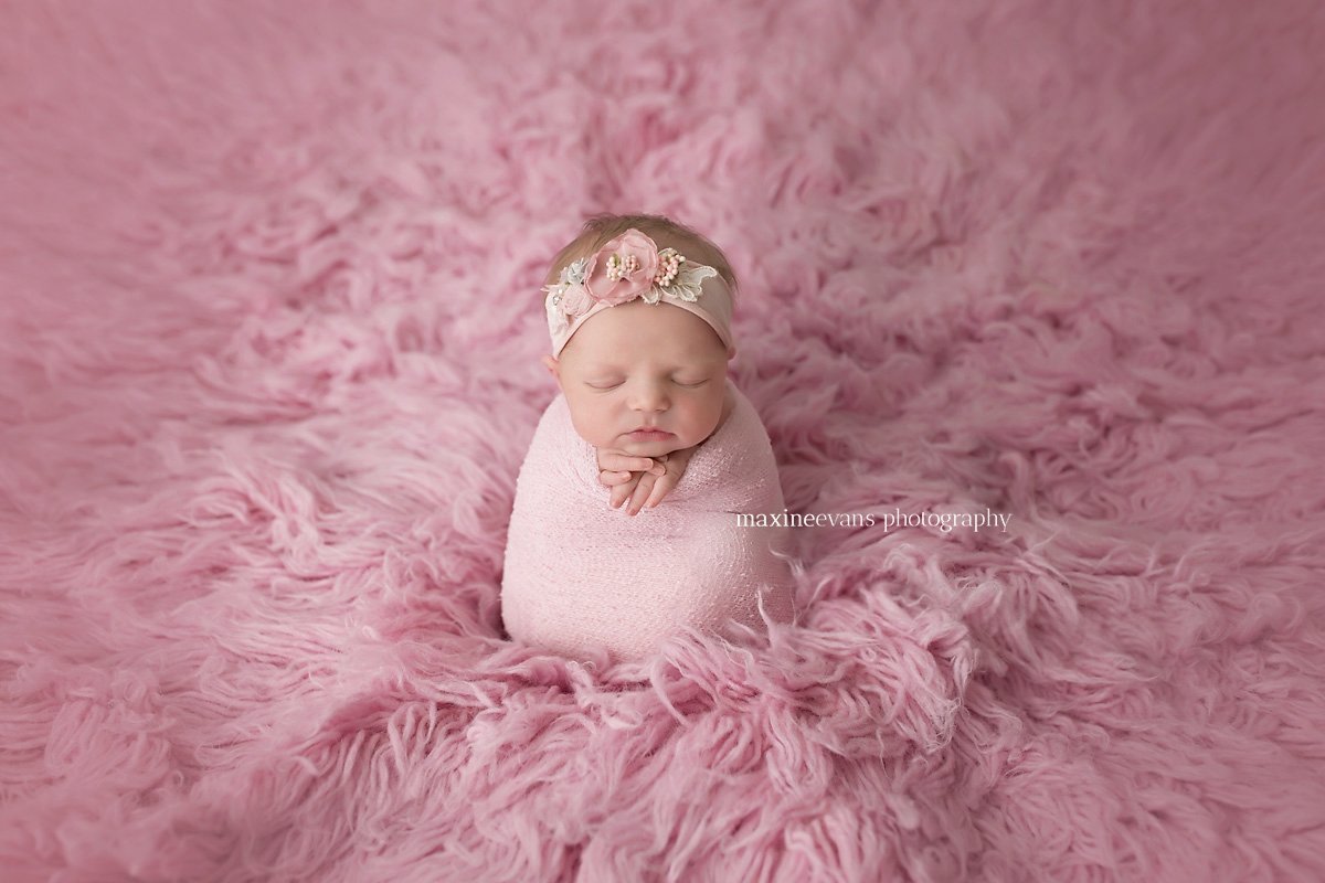 Baby Photographer West Hills