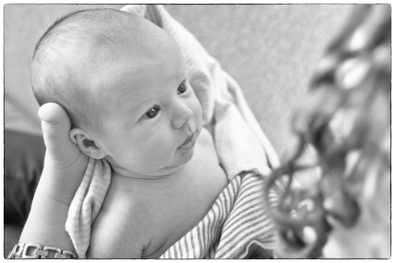 Newborn Portraits with Baby Eli