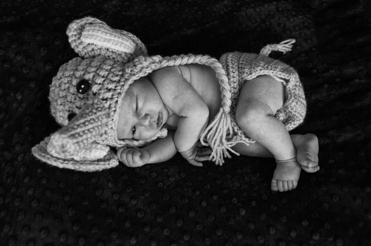 Newborn Portraits with Baby Eli