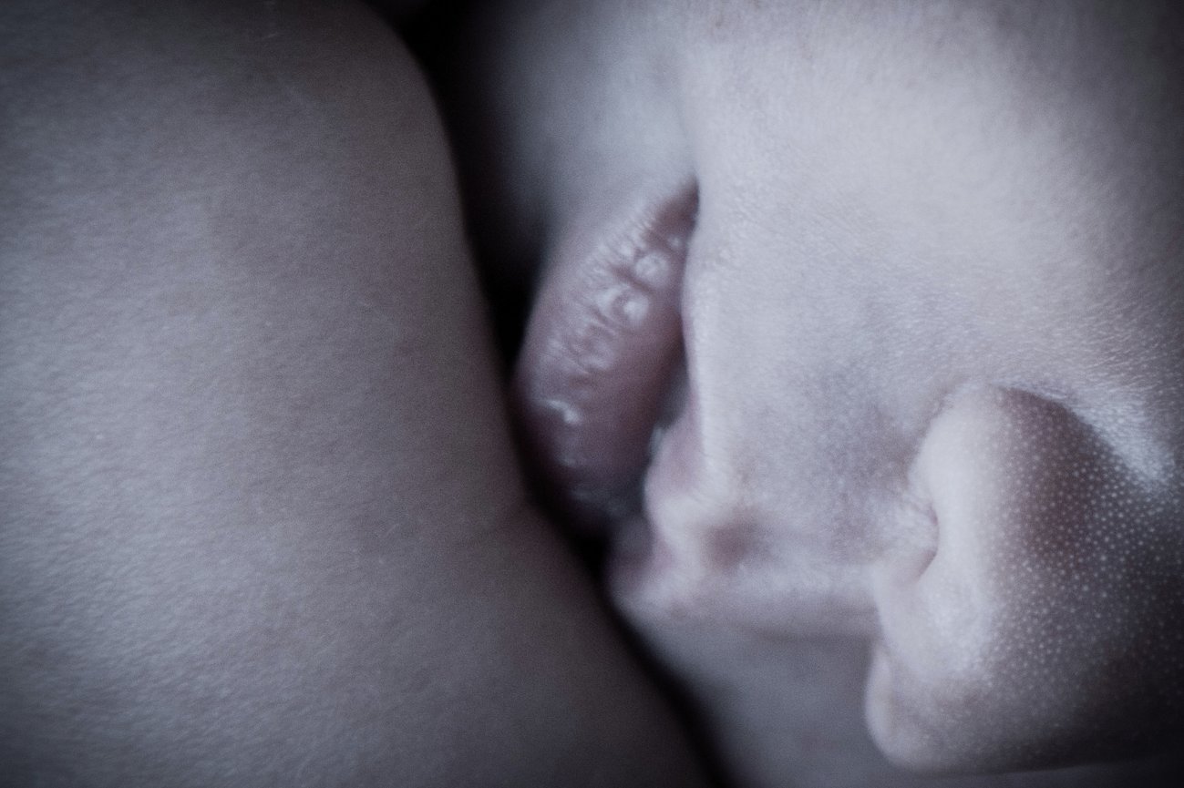 Newborn Portraits with Baby Eli