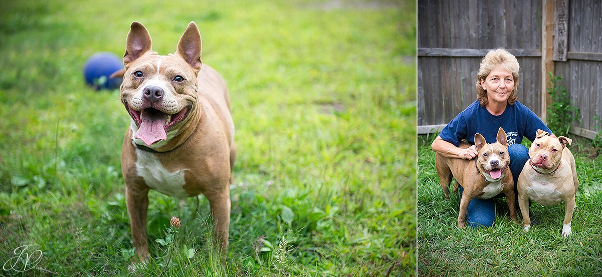 animal rescue, albany pet portrait photographer
