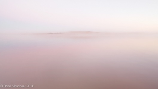 Mist over Connewarre