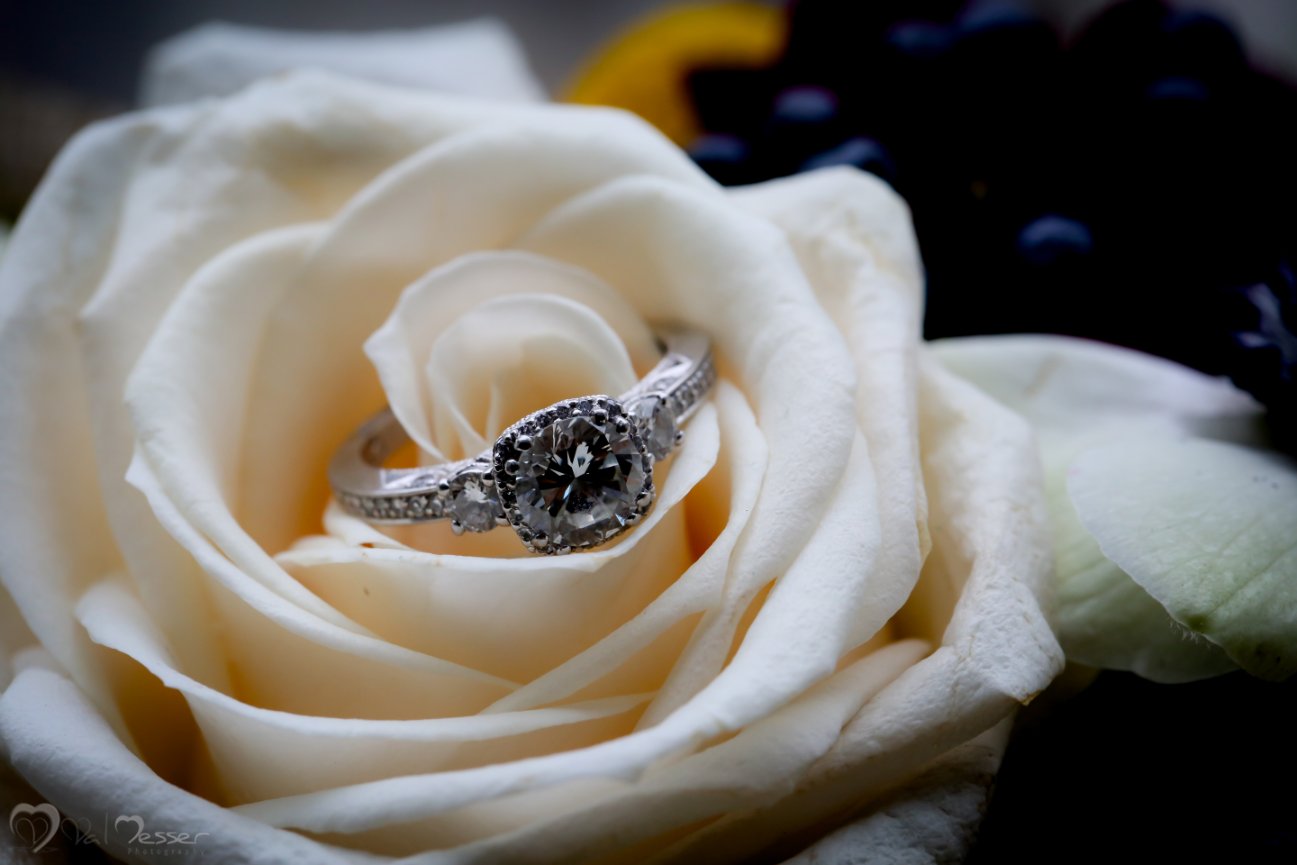 Cushing Park framingham MA -  Matthew and stephanie Engagement Photo Session 