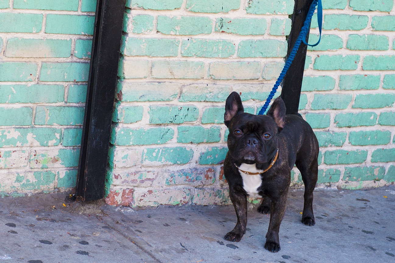 2024 TODOS SANTOS, BCS, WEEK 4