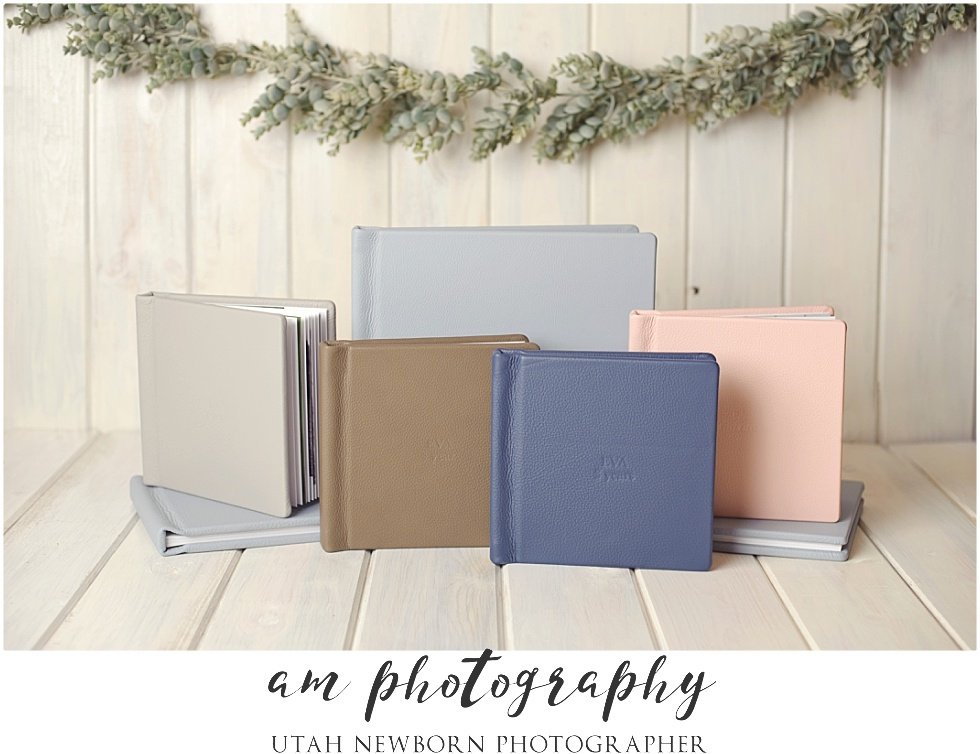 Northern Utah Maternity Photography with TWINS!