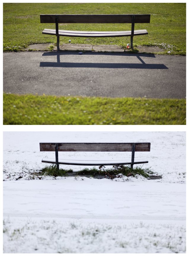 Bench