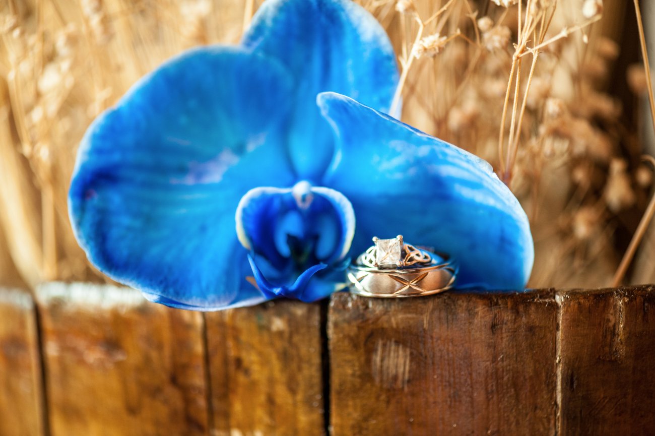 Chris & Laura's wedding in Greeley, Colorado