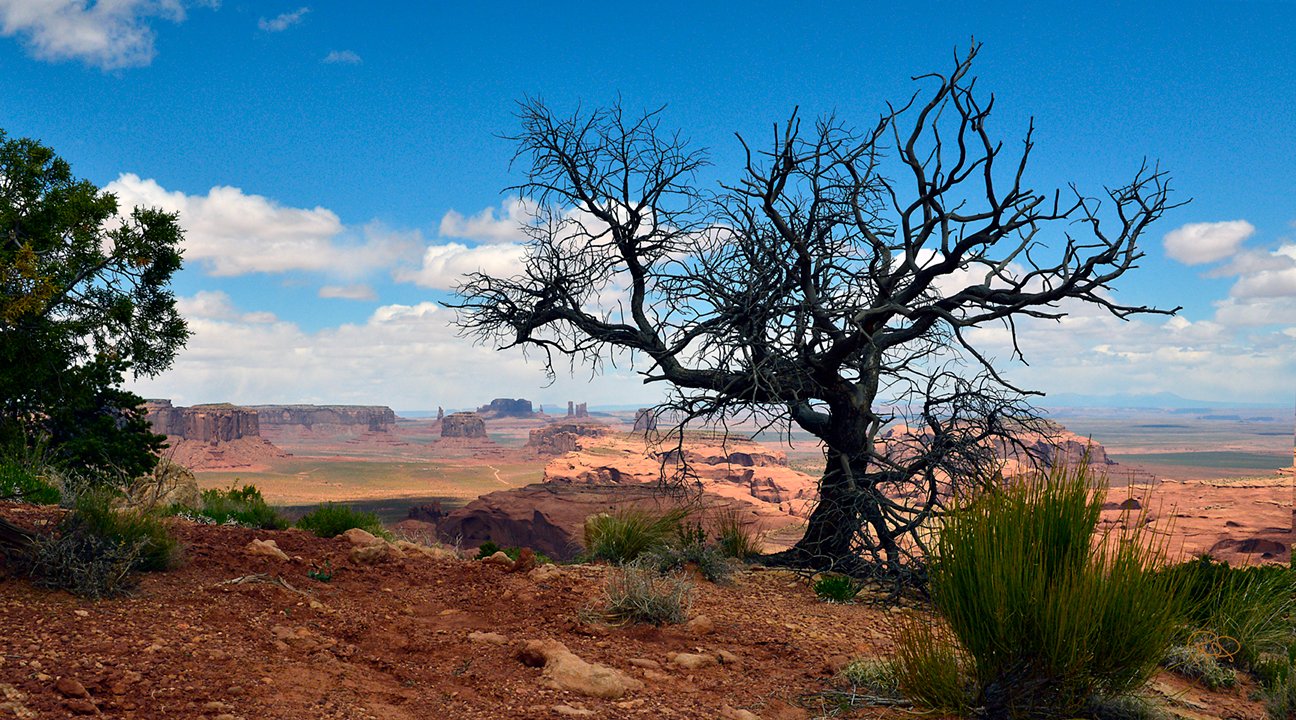 Sunset Ridge   20x30 / 26x40 / Custom