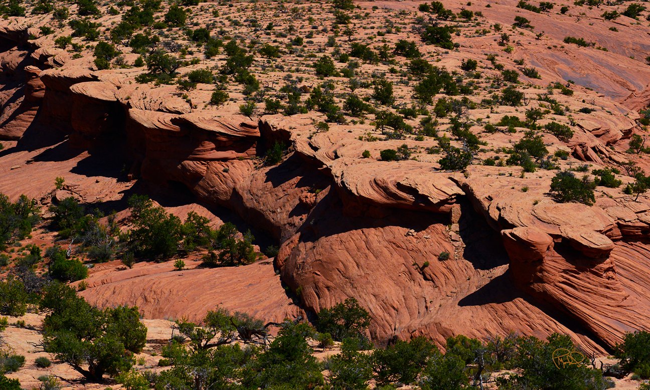 Fire On Palm Ridge   20x30 / 26x40 / Custom