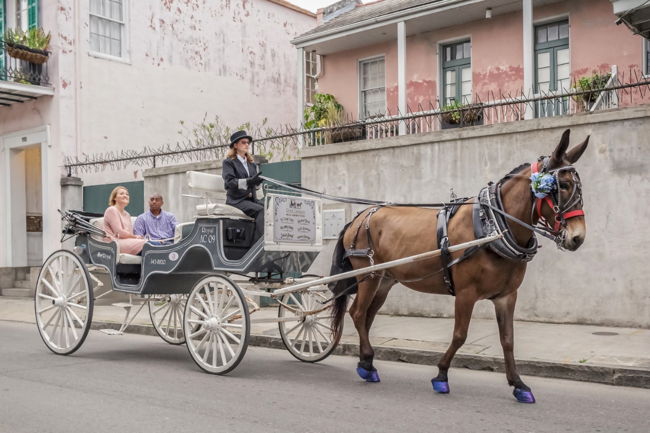 New Orleans Event Photography