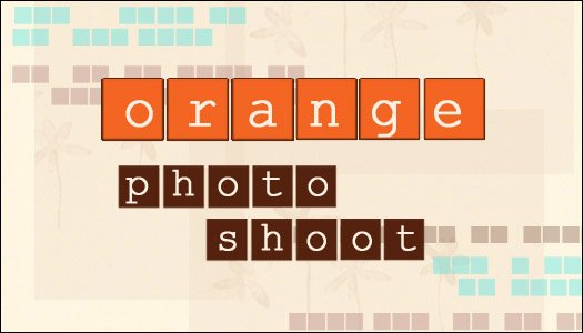 orange photo shoot - $335
