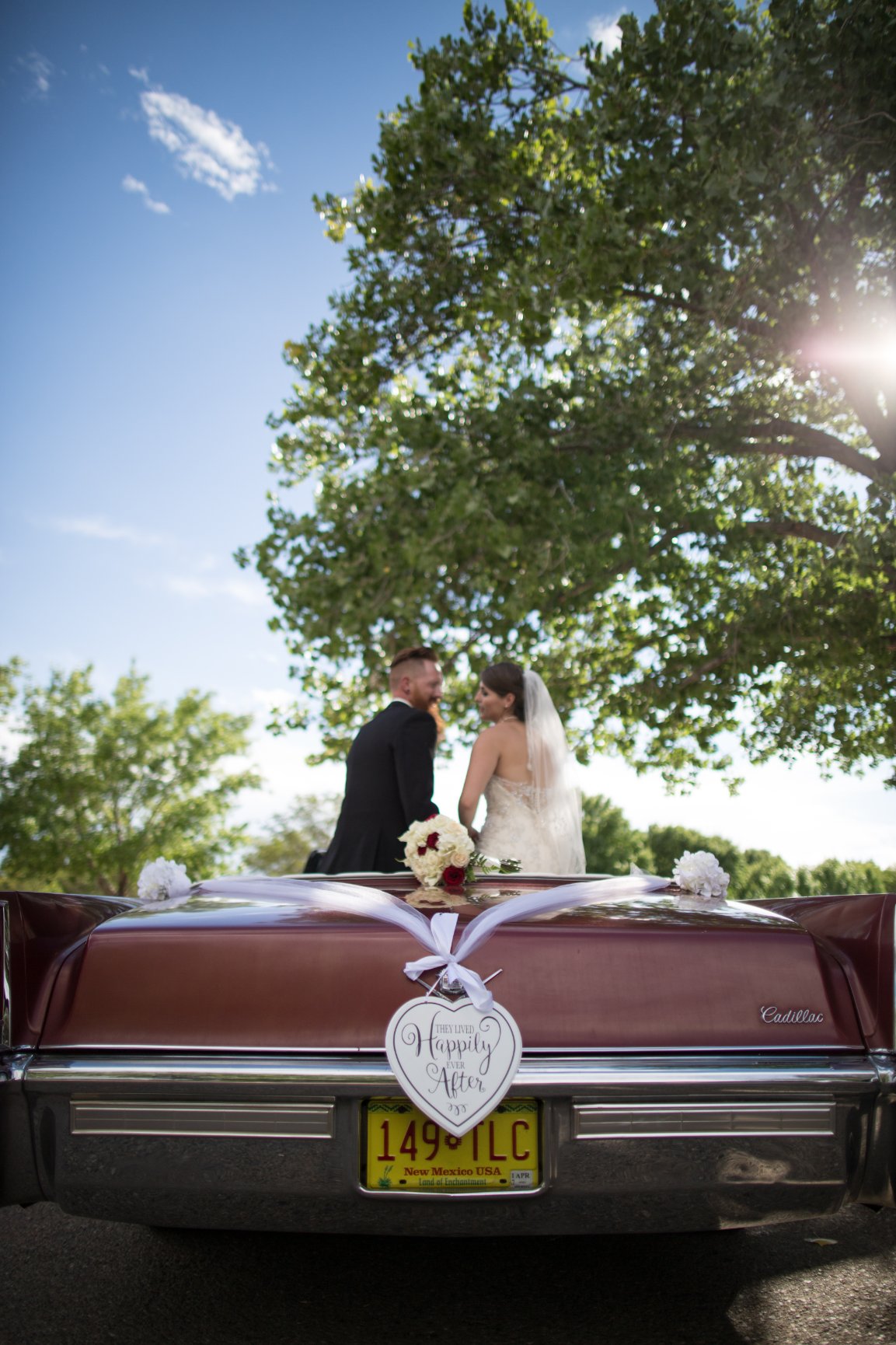 New Mexico Wedding Photographers New Mexico Wedding Photography