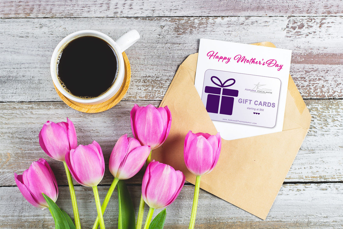 Mother Agency vs Modeling Agency