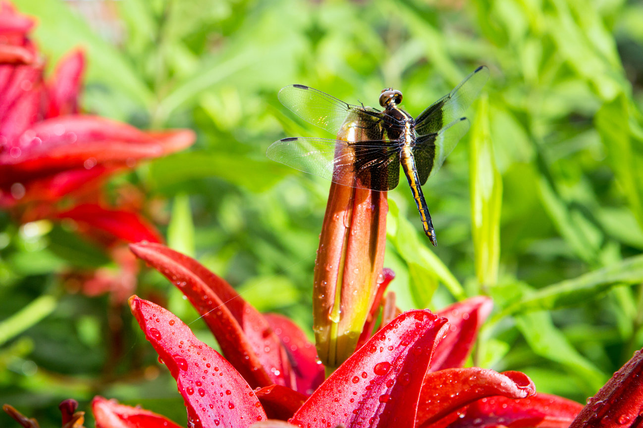 Student Work - John C Campbell Folk School - Travel Photography