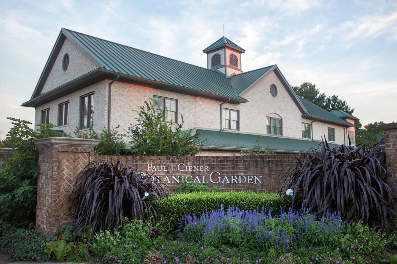 The 3rd Space - Creative Smartphone Photography Student Work - July 2025