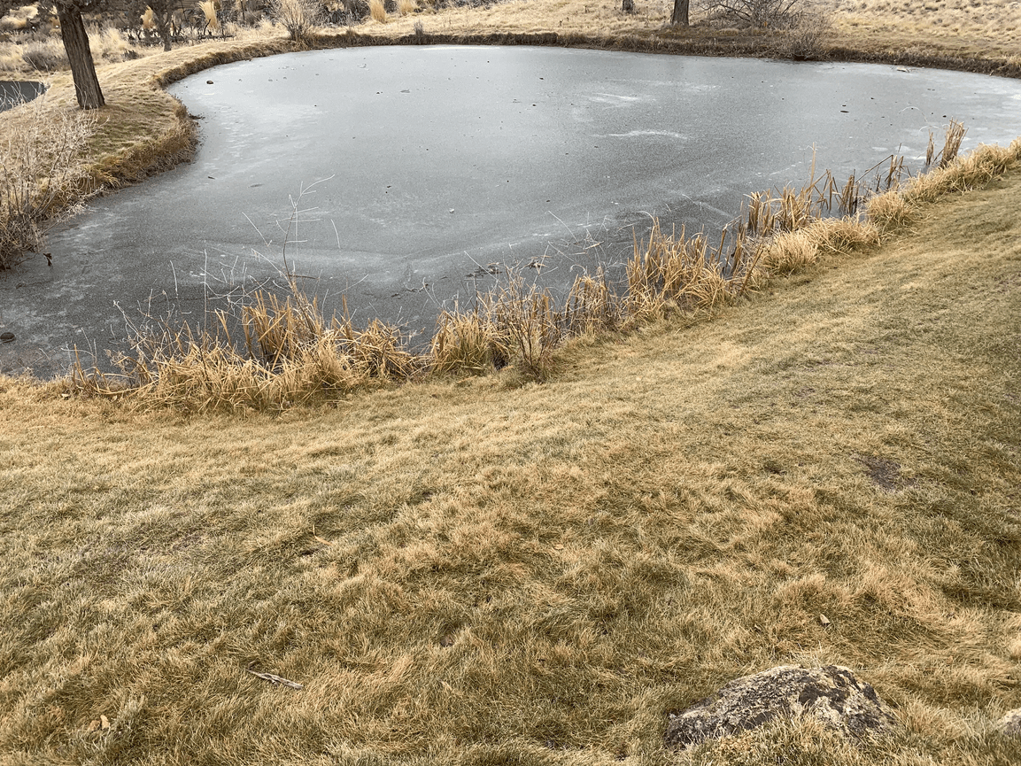 Fall is ... glorious here in Central Oregon