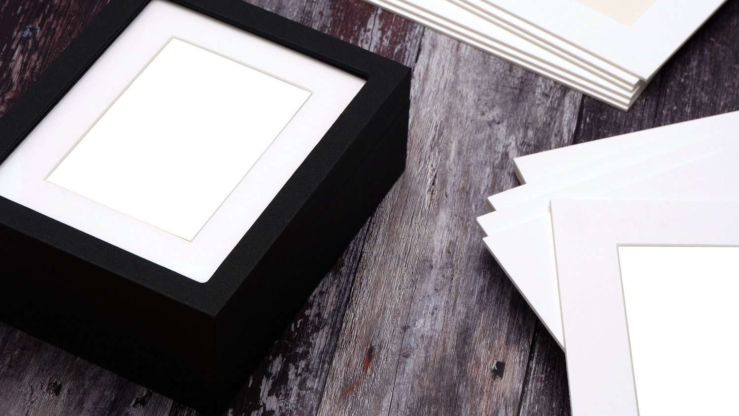 Portrait Collections