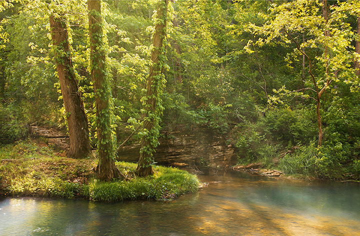 Seven Works Selected For Dreamscapes Juried Show