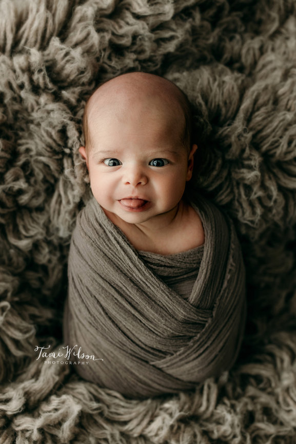 Santa Mini Sessions 2026: A Truly Magical Experience for Your Little Ones