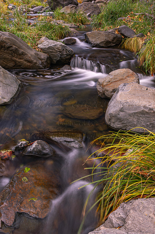 Kaiyah Takota The Final Chapter - A Novel Husky: Chapter 48