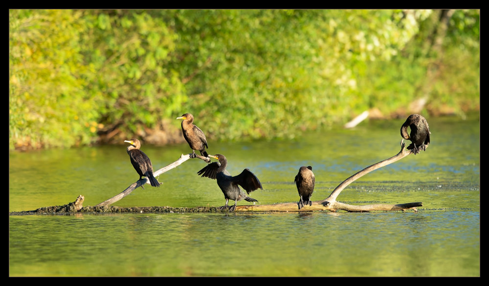 SENIOR PORTRAIT SESSION