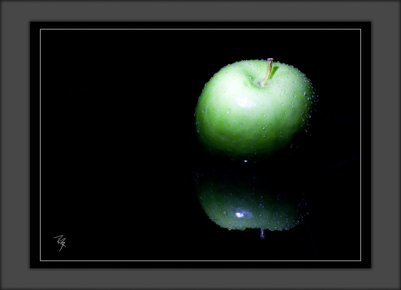 SENIOR PORTRAIT SESSION