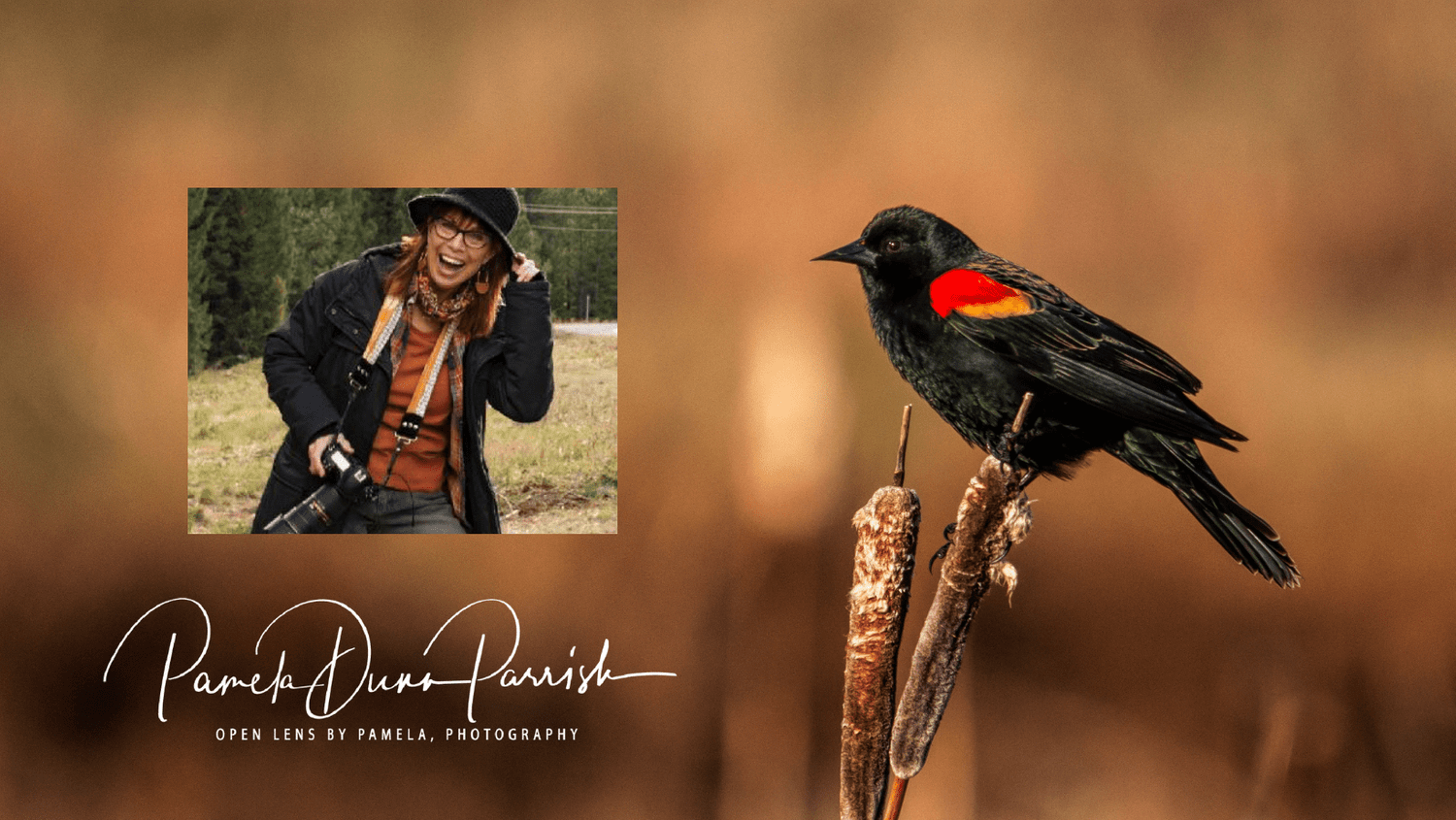 What to expect in a Photo Story Branding Session