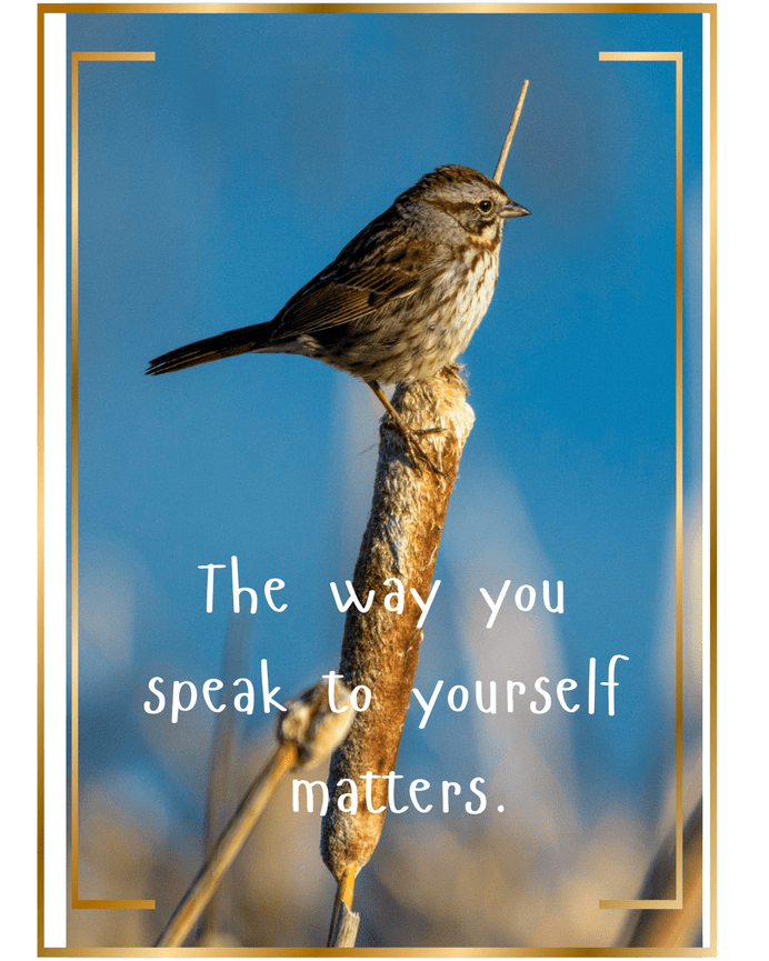 What to expect in a Photo Story Branding Session