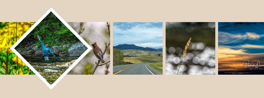 What to expect in a Photo Story Branding Session