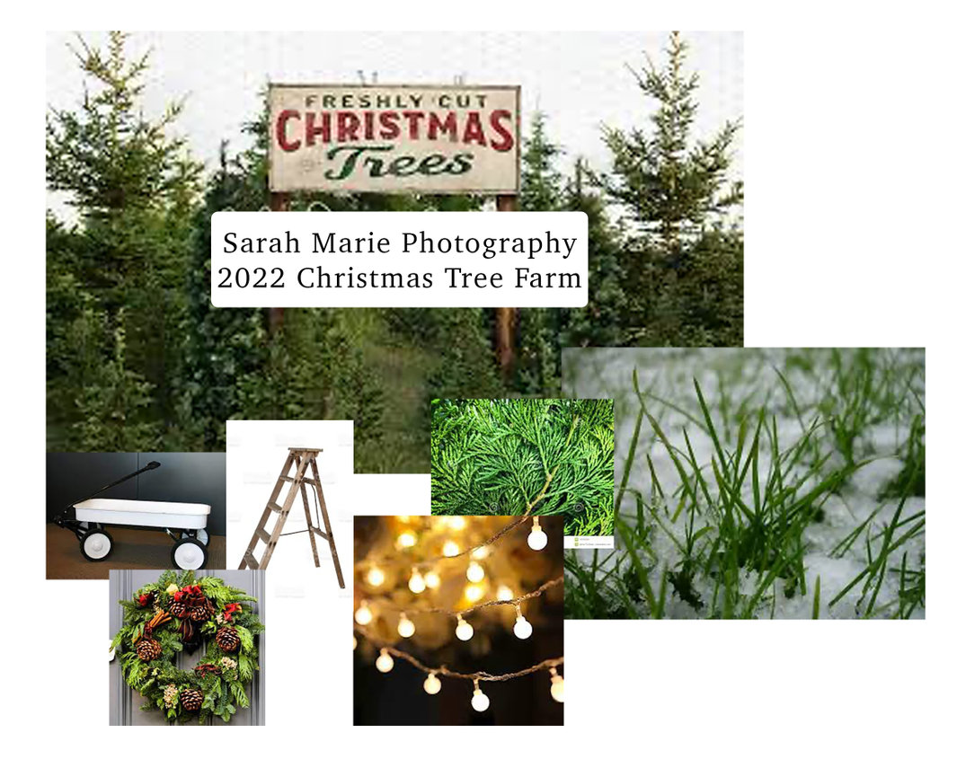 2023 Christmas Sessions