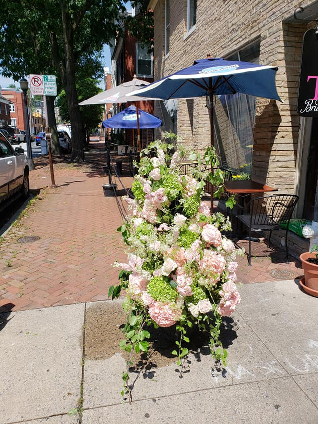 Here Comes the Frederick Flower Fairy!