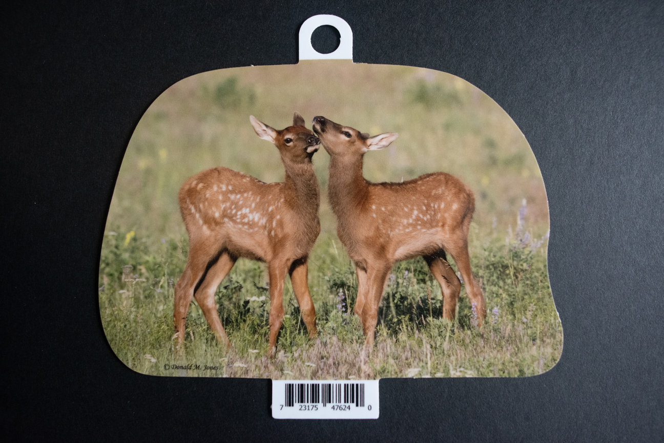 Bull Elk S4 604