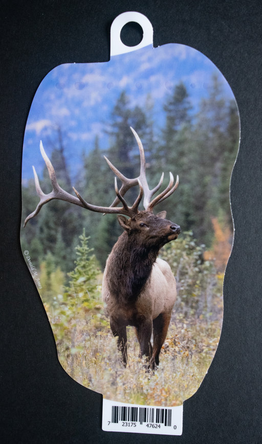 Bull Elk S4 609
