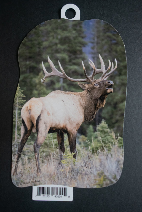Bull Elk S6 611