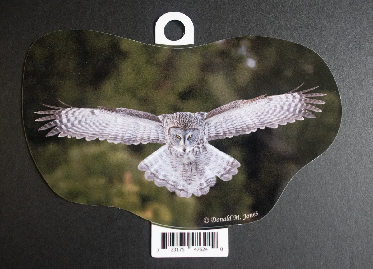 Great Gray Owl S4 730