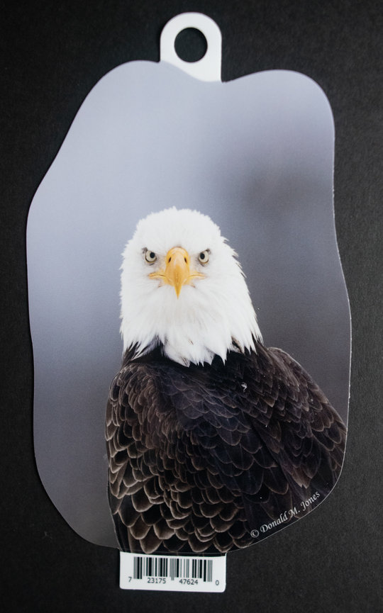 Bald Eagle S6 725