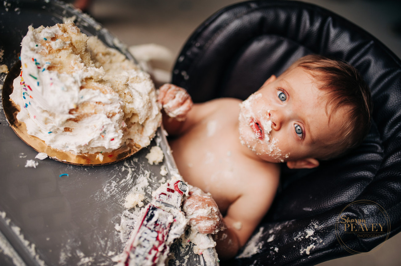 Auzzie's Photo Session in Pownal