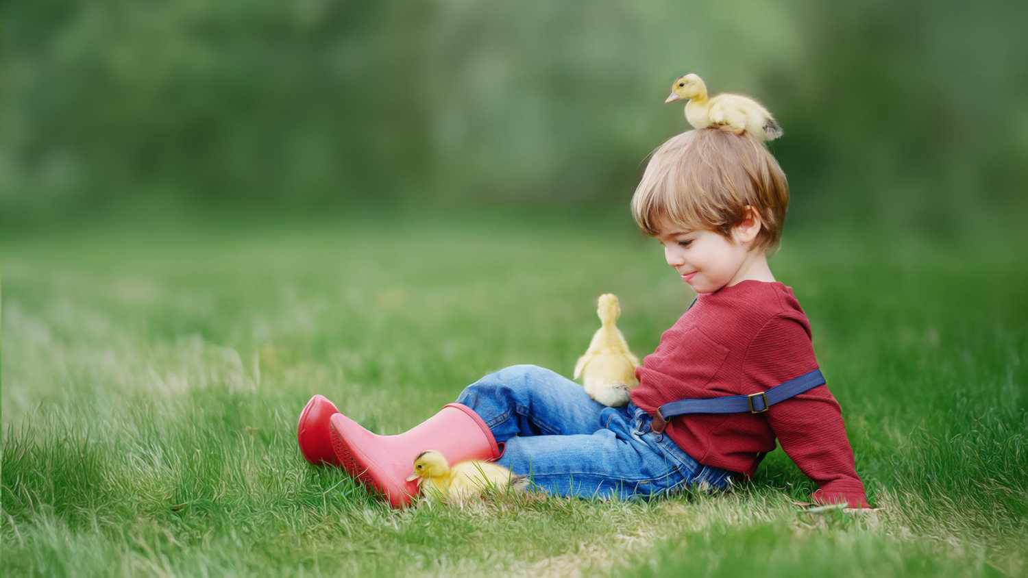 Custom Fairy Sessions for Pittsburgh, Mars and Cranberry Township