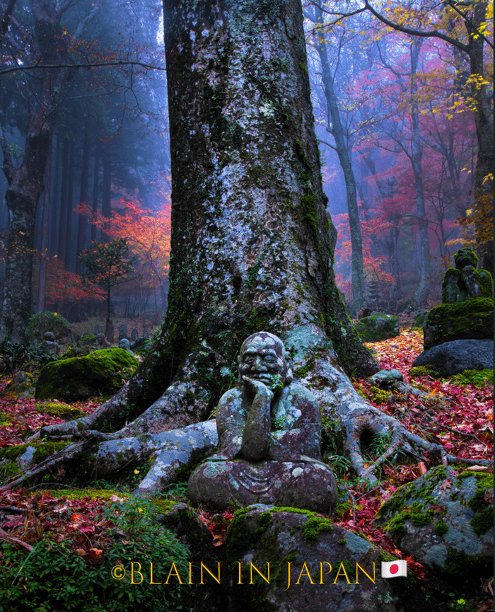 Japan Autumn Leaves Tour – Capture the Colors of Fall with JDS