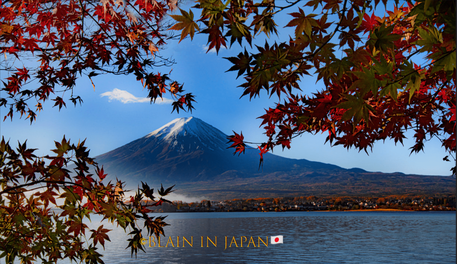 Hokkaido Photography Workshops - Environmental Awareness