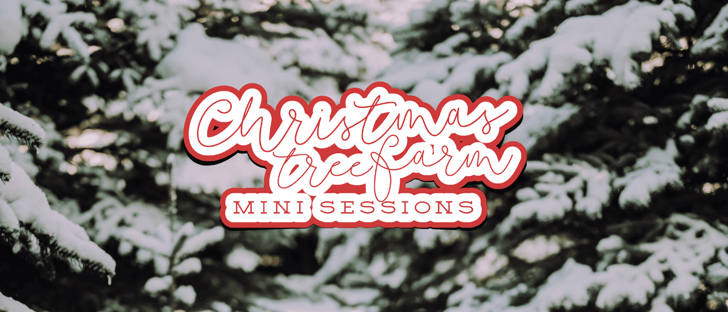 Stone Family, Salmon Idaho Fall Family Photos