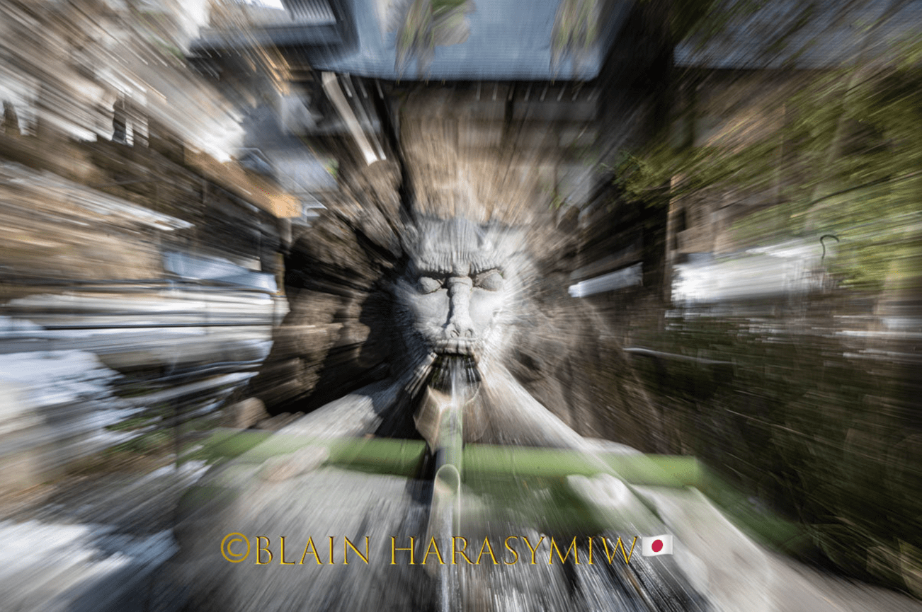 Discover Matsumoto Castle on a Hokkaido Photo Tour with JDS!