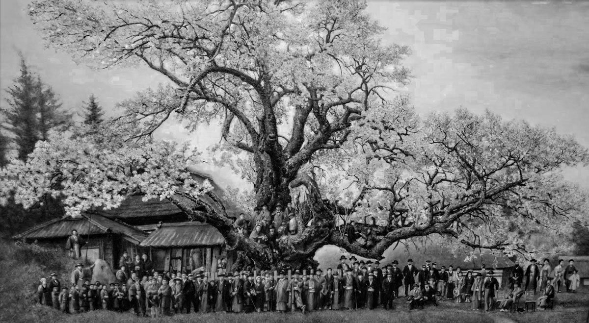 Earliest Sakura Bloom on Record 2023