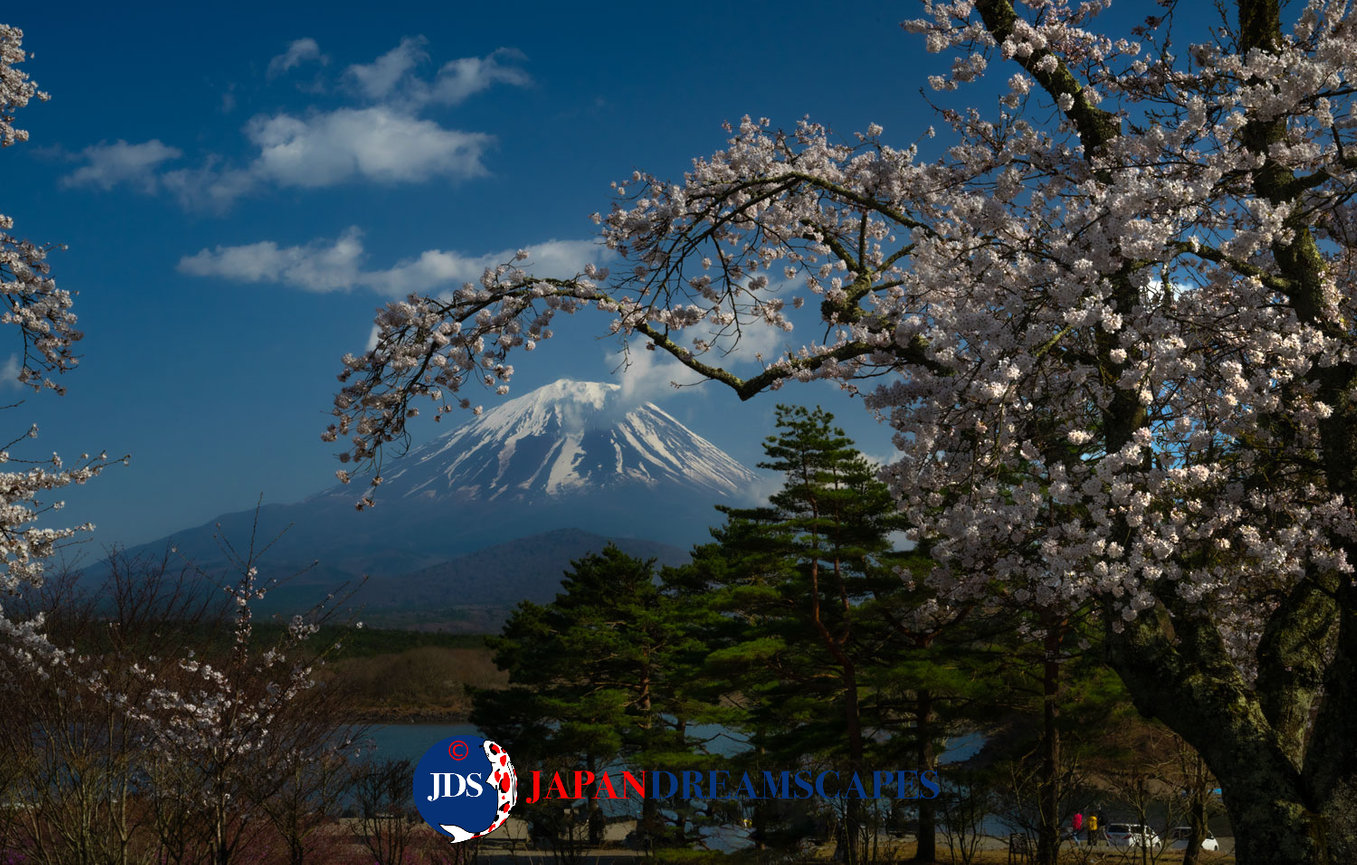 Japan Autumn Leaves Tour – Capture the Colors of Fall with JDS